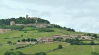 Half-Day Bus Tour of Beaujolais Vineyards from Lyon