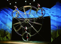 Chinese Acrobatic and Shanghai Evening Tour with Transfer