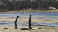 Stand Up Paddling and Yoga in Piuray Lake from Cusco