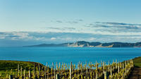 Shore Excursion: visite Blenheim vin