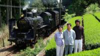 Authentic Japanese Tea Tasting at a Tea Plantation