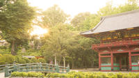Découvrez l'ancienne Tokyo nostalgique : visite à pied de Yanaka Découvrez l'ancienne Tokyo nostalgique : visite à pied de Yanaka