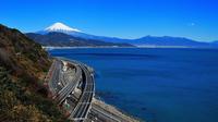 Fuji Ukiyo-e Guided Walking Tour 