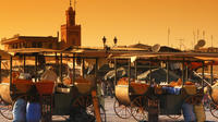 Full-Day Private Tour to Marrakech from Casablanca
