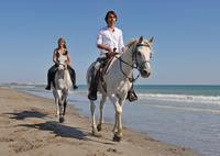 Los Cabos Horseback Riding