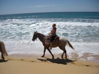 Los Cabos Shore Excursion: Horseback Riding Adventure