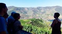 Small Group Douro Wine Valley Tour with Lunch and Wine Tasting