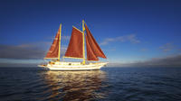 Port Phillip Bay Sailing and Yarra River Cruise by Traditional Timber Tall Ship from Melbourne