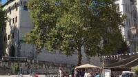 Chambery Electric Bike Tour