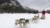 Tena Valley Dog Sledding in The Pyrenees