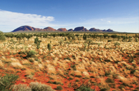 2 jours à L'Ayers Rock d'Uluru, Dans Une ferme de chameaux et à Kata Tjuta, au départ d'Alice Springs