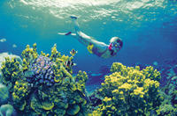  4-Day Cairns and Great Barrier Reef Tour