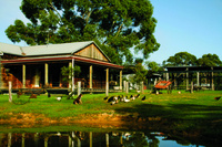 Découverte du désert de Tobrouk with déjeuner-barbecue australien