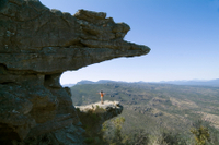 Excursión para grupos pequeños al Parque Nacional de Grampians y animales de Australia desde Melbourne Excursión para grupos pequeños al Parque Nacional de Grampians y animales de Australia desde Melbourne