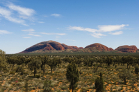 Excursion au coucher du soleil à Uluru et visite de Kata Tjuta avec option dîner-barbecue Dans l'Outback