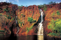 Excursion d'Une journée au parc national de Litchfield, au départ de Darwin