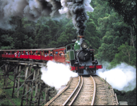 Excursion d'Une journée par train à vapeur de Puffing Billy, dans la Vallée de la Yarra et in the sanctuaire naturel d'Healesville