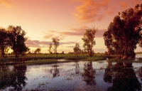 Excursion de 3 jours au parc national de Kakadu et en Terre d'Arnhem au départ de Darwin