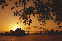 Excursion de 4 jours a Sydney: visite de la ville, Croisière dans le port de Sydney et les Montagnes Bleues