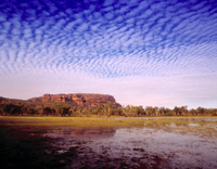 Excursion de Kakadu D'une journée au Départ de Darwin comprising les lieux d'Art d'Ubirr ET Croisière-sur les zones humides du fleuve Mary