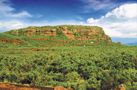Excursion à Kakadu, Nourlangie et Yellow Waters with, en option vol non au-dessus de Kakadu
