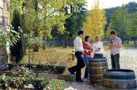 Journée de dégustation de vins de la Hunter Valley, au départ de Sydney
