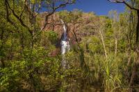 Litchfield National Park Day Tour from Darwin