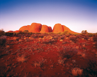 Randonnée Dans la Vallée des Vents et excursion à Kata Tjuta au coucher du soleil