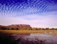 Recorrido de un día a Kakadu desde Darwin, incluye emplazamiento artístico de Ubirr y crucero por los humedales de Mary River Recorrido de un día a Kakadu desde Darwin, incluye emplazamiento artístico de Ubirr y crucero por los humedales de Mary River