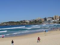 Sydney: Bondi Beach and Kings Cross Tour plus Sydney Harbour Lunch Cruise