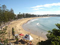 Sydney, Manly and Northern Beaches Morning Tour with Optional Harbour Lunch Cruise