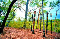 Tiwi Islands Cultural Experience from Darwin Including Flights