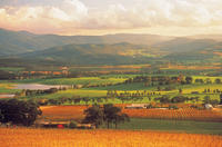 Visita a bodegas del valle del Yarra y paseo en tren de vapor desde Melbourne Visita a bodegas del valle del Yarra y paseo en tren de vapor desde Melbourne