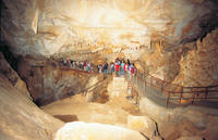 Visita de un día a las Montañas Azules y las Cuevas Jenolan en autocar Visita de un día a las Montañas Azules y las Cuevas Jenolan en autocar