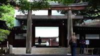 Half Day Walking Tour of Asakusa: Meiji Shrine and Shibuya including Sumo Stable Visit