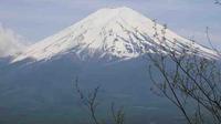 Private 1-Day Experience Mt. Fuji Tour including Kachi Kachi Yama Ropeway