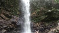 Trinidad Rainforest Hike to Waterfall