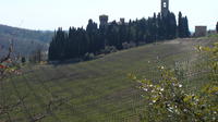 Florence Day Trip to Chianti and San Gimignano