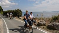 Bike Tour of Lake Biwa from Kyoto