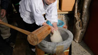 Experience Visiting a Local Farmer and Mochi Rice Cake Making 