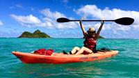 Mokulua Islands Guided Kayak Tour from Kailua Beach