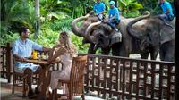 Half-Day Bali Zoo Explorer Tour Including Hotel Transfer and Lunch