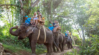 Long Trek Exclusive Elephant Safari at the Bali Zoo Including Hotel Transfer and Lunch