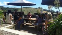 Half-Day Waiheke Wine Tour