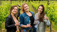 Waiheke Scenic and Three Vineyard Wine Tasting Tour