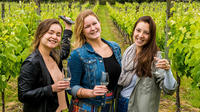 Waiheke Wine and Food Tour Déjeuner compris