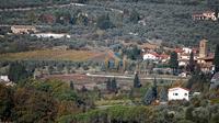 Chianti Bike Tour