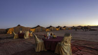 Bivouac Chegaga Night in Zagora