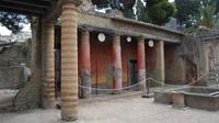 Discovering Herculaneum and Vesuvius from Sorrento
