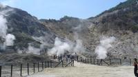 Full-Day Tour of Naples and Solfatara Volcano from Sorrento